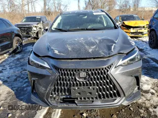2024 Lexus NX with VIN 2T2AGCEZ4RC053310, listed as a Copart auction lot 42763545 with 10,328 mi miles and Salvage Title. Bid and sale history available at carsss.com. Image 5.