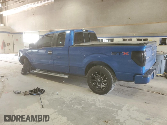 2010 Ford F-150 XL with VIN 1FTEX1CW1AFD49058, listed as a Copart auction lot 61545945 with 177,041 mi miles and Clean title. Bid and sale history available at DreamBid. Image 2.