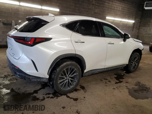 2022 Lexus NX with VIN 2T2ADCEZ5NC001848, listed as a Copart auction lot 45731204 with 48,086 mi miles and Non Repairable. Bid and sale history available at carsss.com. Image 3.