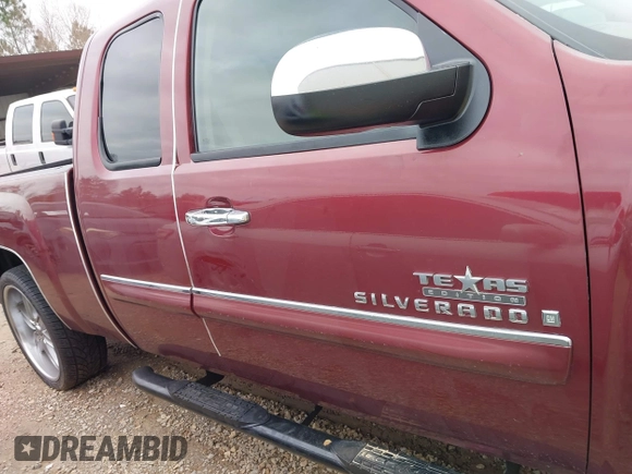 2009 Chevrolet Silverado 1500 with VIN 2GCEC290091109555, listed as a IAAI auction lot 41594859 with 251,793 mi miles and . Bid and sale history available at DreamBid. Image 13.