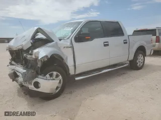 2013 Ford F-150 XL with VIN 1FTEW1CM1DKD06918, listed as a Copart auction lot 53304535 with 123,443 mi miles and Salvage Title. Bid and sale history available at carsss.com. Image 1.