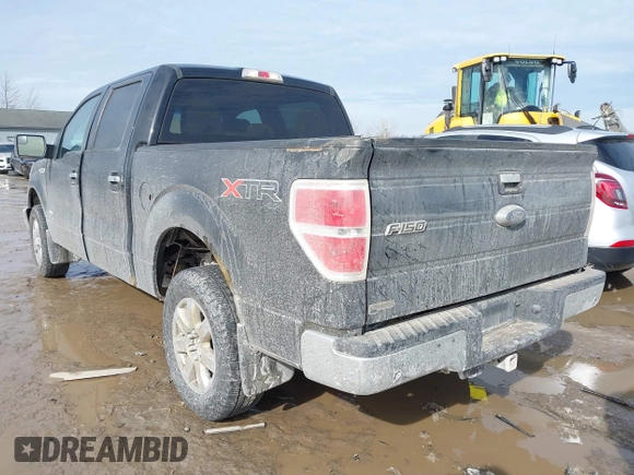 2013 Ford F-150 XL with VIN 1FTFW1ET0DFD70773, listed as a IAAI auction lot 41619780 with 127,309 mi miles. Bid and sale history available at carsss.com. Image 3.
