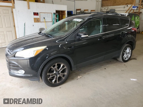 2013 Ford Escape SEL with VIN 1FMCU0HX1DUB83342, listed as a Copart auction lot 52482145 with 123,702 mi miles and Salvage Title. Bid and sale history available at carsss.com. Image 1.