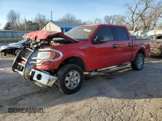 2009 Ford F-150 XL with VIN 1FTRW14849FA05790, listed as a Copart auction lot 87194234 with 212,721 mi miles and Salvage Title. Bid and sale history available at DreamBid. Image 1.