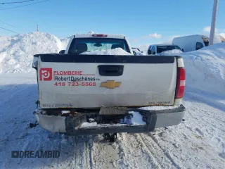 2012 Chevrolet Silverado 1500 Work Truck with VIN 1GCNKPEAXCZ217470, listed as a Copart auction lot 45476725 with Not Provided miles and Salvage Title. Bid and sale history available at DreamBid. Image 6.