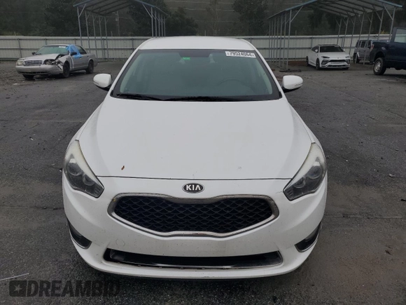 2014 Kia Cadenza Premium with VIN KNALN4D71E5160571, listed as a Copart auction lot 79524064 with 172,395 mi miles and Salvage Title. Bid and sale history available at carsss.com. Image 5.