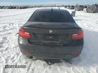 2017 BMW 2 Series 230i with VIN WBA2F9C39HV664732, listed as a Copart auction lot 44585015 with 88,917 mi miles and Salvage title. Bid and sale history available at DreamBid. Image 6.