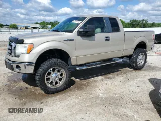 2009 Ford F-150 XLT with VIN 1FTRX12VX9FA60671, listed as a Copart auction lot 57500425 with 217,159 mi miles and Non repairable. Bid and sale history available at DreamBid. Image 1.