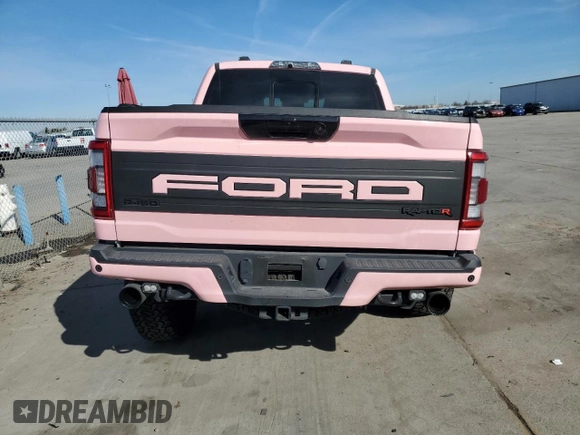 2023 Ford F-150 Raptor with VIN 1FTFW1RJ7PFA73609, listed as a Copart auction lot 45202695 with 22,974 mi miles and Salvage Title. Bid and sale history available at DreamBid. Image 6.