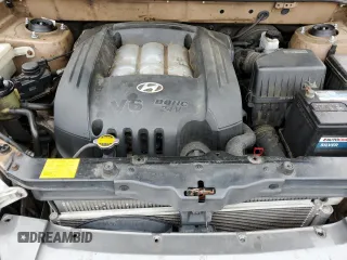 2002 Hyundai Santa Fe GLS with VIN KM8SC73DX2U318190, listed as a Copart auction lot 64256634 with 123,993 mi miles and Non Repairable. Bid and sale history available at carsss.com. Image 11.