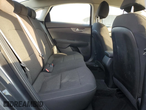 2020 Kia Forte LXS with VIN 3KPF24AD7LE210667, listed as a Copart auction lot 48370315 with 93,257 mi miles and Salvage Title. Bid and sale history available at carsss.com. Image 10.