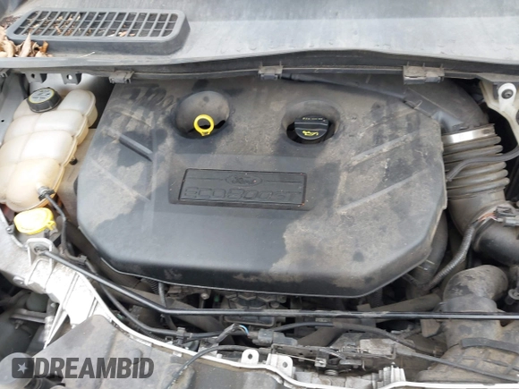 2013 Ford Escape SEL with VIN 1FMCU9H93DUD70670, listed as a IAAI auction lot 41867784 with 207,956 mi miles. Bid and sale history available at carsss.com. Image 10.