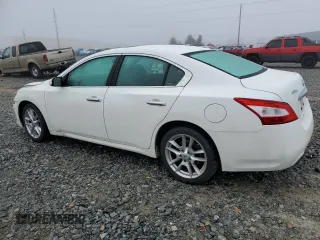 2011 Nissan Maxima SV with VIN 1N4AA5AP6BC836980, listed as a Copart auction lot 52584935 with Not provided miles and Non repairable. Bid and sale history available at DreamBid. Image 2.