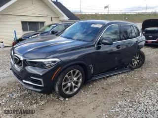 2023 BMW X5 xDrive40i with VIN 5UXCR6C05P9P01929, listed as a Copart auction lot 53131305 with 40,889 mi miles and Salvage Title. Bid and sale history available at carsss.com. Image 1.