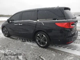2024 Honda Odyssey Elite with VIN 5FNRL6H92RB029941, listed as a Copart auction lot 43759145 with 7,483 mi miles and Salvage Title. Bid and sale history available at carsss.com. Image 2.