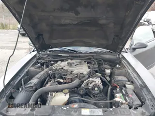 2003 Ford Mustang Standard with VIN 1FAFP40413F441725, listed as a IAAI auction lot 41781768 with 150,417 mi miles. Bid and sale history available at carsss.com. Image 10.