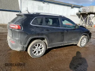2016 Jeep Cherokee North with VIN 1C4PJMCS8GW365579, listed as a Copart auction lot 46599895 with 129,116 mi miles and Salvage Title. Bid and sale history available at carsss.com. Image 3.
