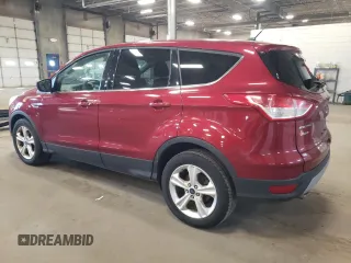 2016 Ford Escape SE with VIN 1FMCU0GX1GUA70710, listed as a Copart auction lot 52299925 with 205,760 mi miles and Salvage Title. Bid and sale history available at carsss.com. Image 2.
