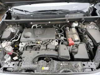 2023 Toyota RAV4 XLE Premium with VIN 2T3A1RFV7PC350144, listed as a Copart auction lot 50317175 with 46,130 mi miles and Salvage Title. Bid and sale history available at carsss.com. Image 14.