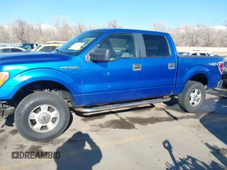2010 Ford F-150 XL with VIN 1FTEW1E87AFB51697, listed as a IAAI auction lot 41454088 with 171,787 mi miles and . Bid and sale history available at DreamBid. Image 14.