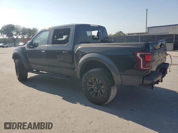2017 Ford F-150 Raptor with VIN 1FTFW1RG2HFC18383, listed as a Copart auction lot 53520625 with 119,522 mi miles and Clean Title. Bid and sale history available at DreamBid. Image 2.