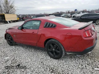 2010 Ford Mustang GT with VIN 1ZVBP8CH1A5124090, listed as a Copart auction lot 81806634 with 69,133 mi miles and Salvage title. Bid and sale history available at DreamBid. Image 2.