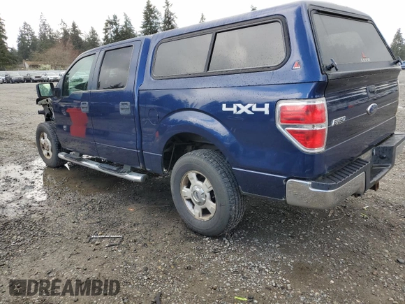 2009 Ford F-150 XL with VIN 1FTPW14VX9FA25474, listed as a Copart auction lot 51437595 with 147,088 mi miles and Salvage title. Bid and sale history available at DreamBid. Image 2.