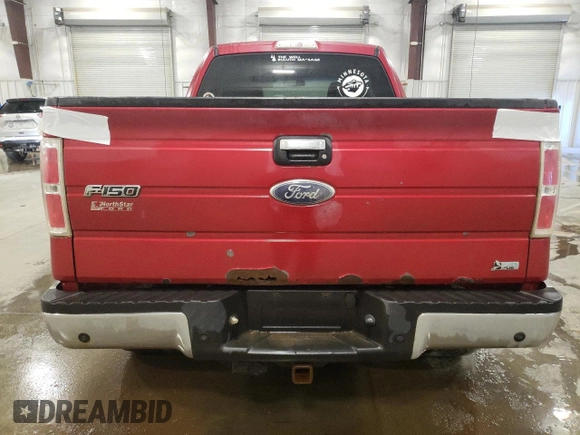 2010 Ford F-150 XL with VIN 1FTFX1EV4AKE10502, listed as a Copart auction lot 48208995 with 162,801 mi miles and Non repairable. Bid and sale history available at DreamBid. Image 6.