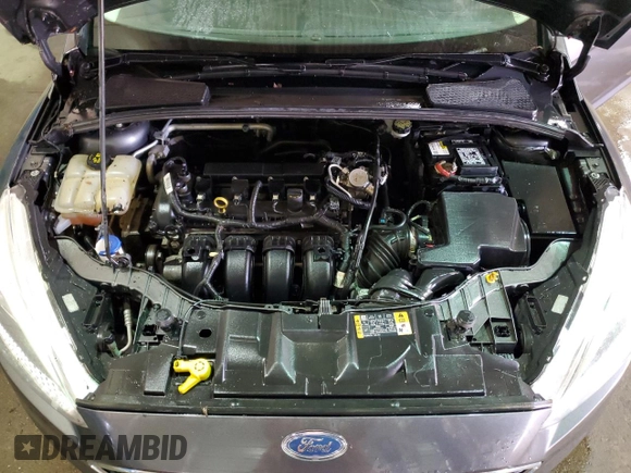 2016 Ford Focus SE with VIN 1FADP3F21GL368922, listed as a Copart auction lot 53148665 with Not Provided miles and Clean Title. Bid and sale history available at carsss.com. Image 11.