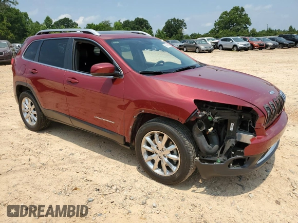 2014 Jeep Cherokee Limited with VIN 1C4PJLDS9EW221691, listed as a Copart auction lot 64095655 with 174,391 mi miles and Salvage title. Bid and sale history available at DreamBid. Image 4.