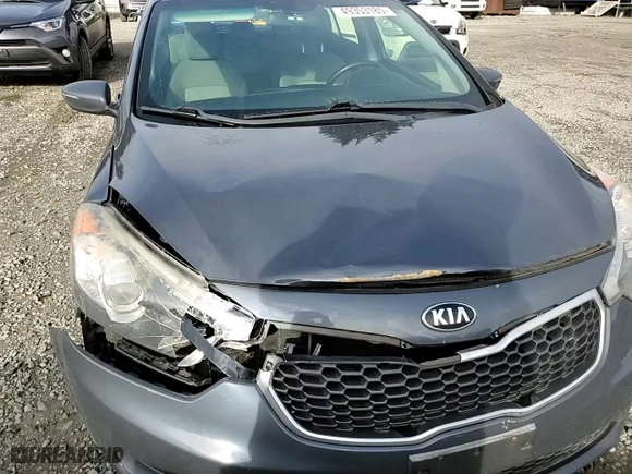 2015 Kia Forte 5-Door EX with VIN KNAFX5A83F5300292, listed as a Copart auction lot 49353185 with NaN miles and Salvage Title. Bid and sale history available at carsss.com. Image 10.