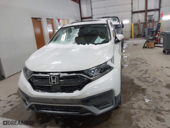 2022 Honda CR-V EX with VIN 5J6RW2H50NL003773, listed as a IAAI auction lot 41615243 with 43,818 mi miles. Bid and sale history available at carsss.com. Image 13.