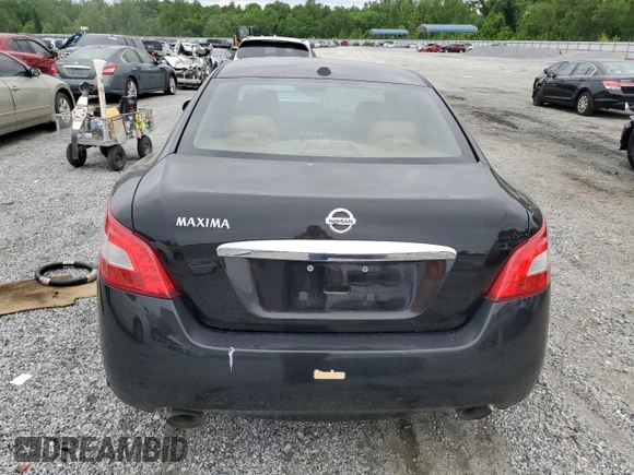 2010 Nissan Maxima SV with VIN 1N4AA5AP1AC863518, listed as a Copart auction lot 56188795 with 115,377 mi miles and Salvage title. Bid and sale history available at DreamBid. Image 6.
