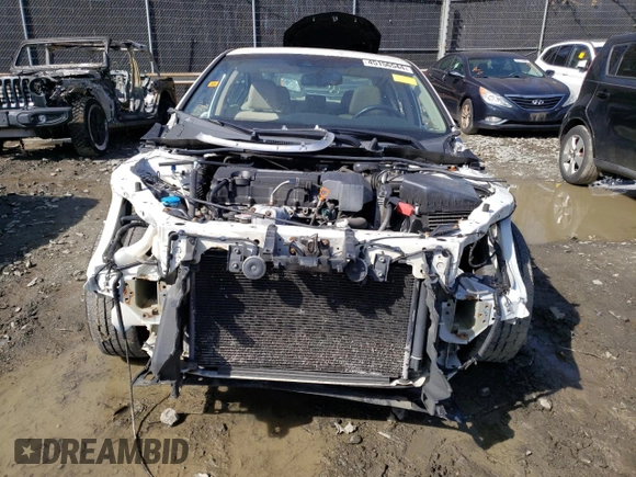 2013 Honda Accord Sdn EX-L with VIN 1HGCR2F84DA209027, listed as a Copart auction lot 48967195 with Not Provided miles and Non Repairable. Bid and sale history available at carsss.com. Image 5.
