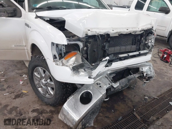 2014 Ford F-150 XL with VIN 1FTFX1ET9EFA62502, listed as a IAAI auction lot 41575300 with 123,698 mi miles and . Bid and sale history available at DreamBid. Image 6.