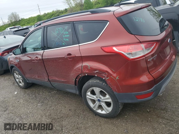 2016 Ford Escape SE with VIN 1FMCU0GX6GUC56565, listed as a Copart auction lot 49806464 with 54,637 mi miles and Salvage Title. Bid and sale history available at carsss.com. Image 2.