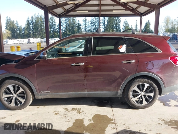2016 Kia Sorento EX with VIN 5XYPHDA57GG181613, listed as a IAAI auction lot 42020545 with 173,439 mi miles. Bid and sale history available at carsss.com. Image 14.