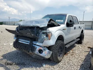 2009 Ford F-150 XL with VIN 1FTRW12879FA42609, listed as a Copart auction lot 62177534 with 157,629 mi miles and Salvage Title. Bid and sale history available at carsss.com. Image 1.