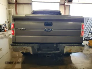 2009 Ford F-150 XL with VIN 1FTRW14879FB39001, listed as a Copart auction lot 53269955 with 123,871 mi miles and Clean Title. Bid and sale history available at carsss.com. Image 6.