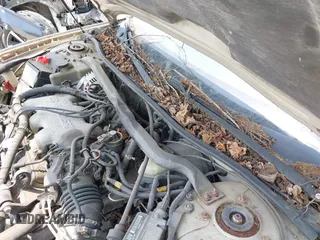 2003 Chevrolet Monte Carlo LS с VIN 2G1WW12E339446315, выставлен на аукционе IAAI как лот 42402968 с пробегом 137 253 миль миль и . История ставок и продаж доступна на DreamBid. Изображение 6.