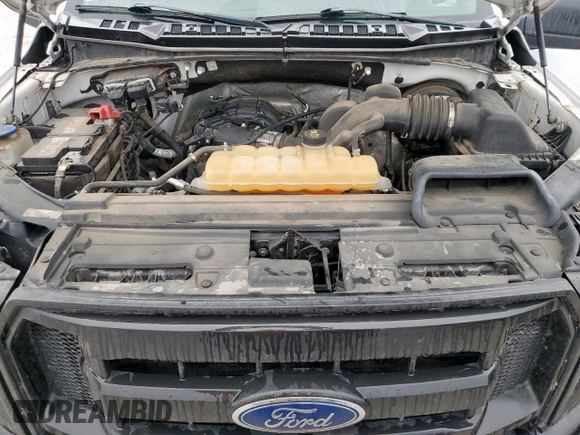 2017 Ford F-150 XL with VIN 1FTEX1C84HKE38481, listed as a Copart auction lot 51749035 with 144,652 mi miles and Clean Title. Bid and sale history available at carsss.com. Image 11.