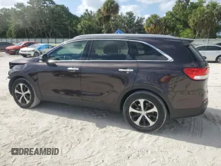 2016 Kia Sorento EX with VIN 5XYPH4A59GG008210, listed as a Copart auction lot 54621845 with 124,208 mi miles and Salvage Title. Bid and sale history available at carsss.com. Image 2.