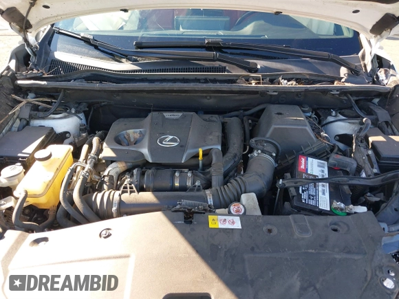 2018 Lexus NX 300 with VIN JTJBARBZ9J2176621, listed as a IAAI auction lot 41403767 with 99,220 mi miles and . Bid and sale history available at DreamBid. Image 10.