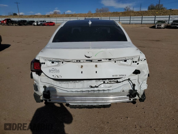 2019 Lexus ES 350 with VIN 58ABZ1B11KU005976, listed as a Copart auction lot 80790654 with 102,408 mi miles and Salvage Title. Bid and sale history available at DreamBid. Image 6.