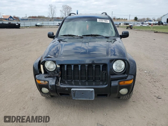 2002 Jeep Liberty Limited with VIN 1J4GL58K12W185761, listed as a Copart auction lot 53367965 with 163,561 mi miles and Salvage title. Bid and sale history available at DreamBid. Image 5.
