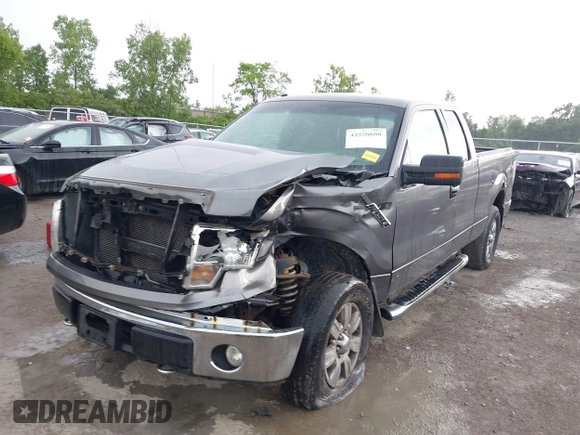 2010 Ford F-150 XL with VIN 1FTEX1E83AFD64062, listed as a IAAI auction lot 42550600 with 135,059 mi miles and . Bid and sale history available at DreamBid. Image 18.