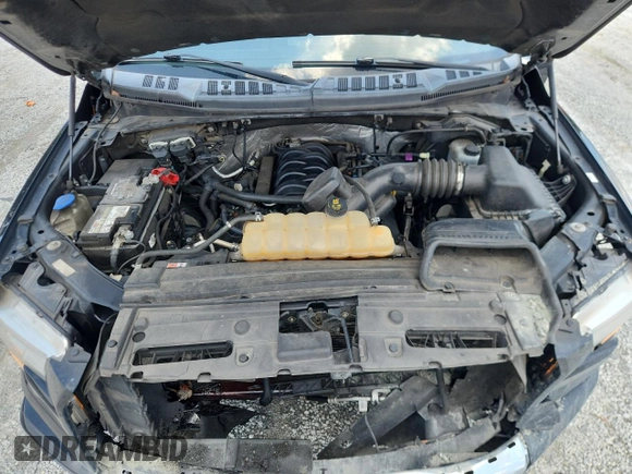 2016 Ford F-150 XLT with VIN 1FTEW1EF9GFB49621, listed as a Copart auction lot 61810865 with 258,610 mi miles and Salvage title. Bid and sale history available at DreamBid. Image 11.