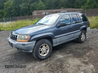 2002 Jeep Grand Cherokee with VIN 1J8GW48N42C183028, listed as a Copart auction lot 66677114 with 230,146 mi miles and Salvage title. Bid and sale history available at DreamBid. Image 1.