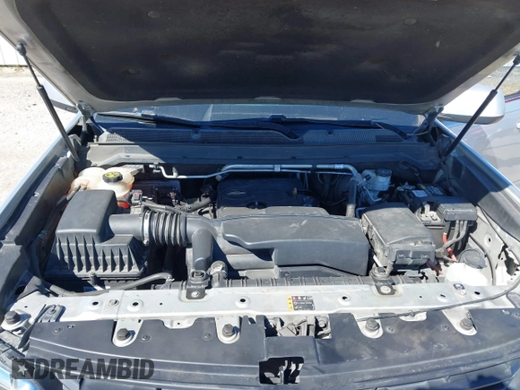 2018 Chevrolet Colorado 2WD LT with VIN 1GCGSCEAXJ1227123, listed as a IAAI auction lot 41671501 with 181,272 mi miles and . Bid and sale history available at DreamBid. Image 10.