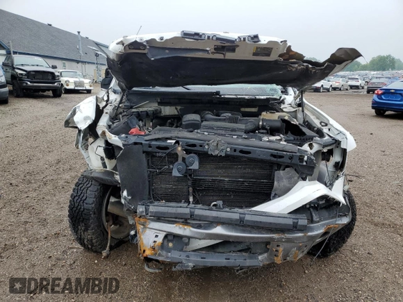 2009 Ford F-150 XL with VIN 1FTPX14V69FA71865, listed as a Copart auction lot 59299635 with 104,465 mi miles and Clean title. Bid and sale history available at DreamBid. Image 5.